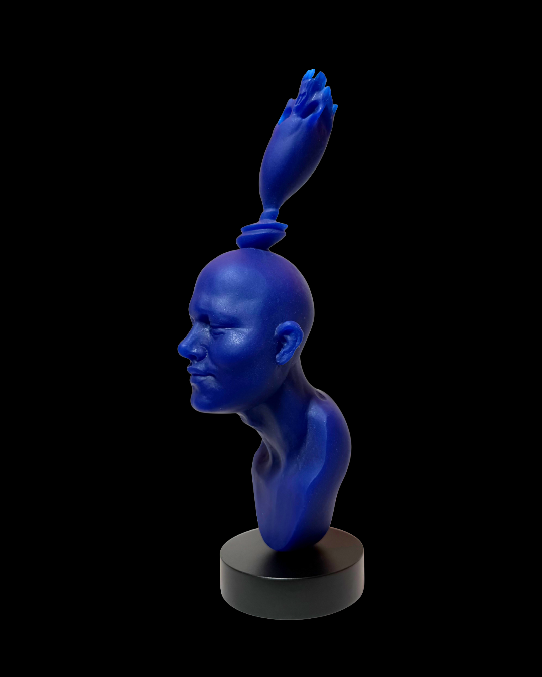 Ed. Limitada Colección 2026