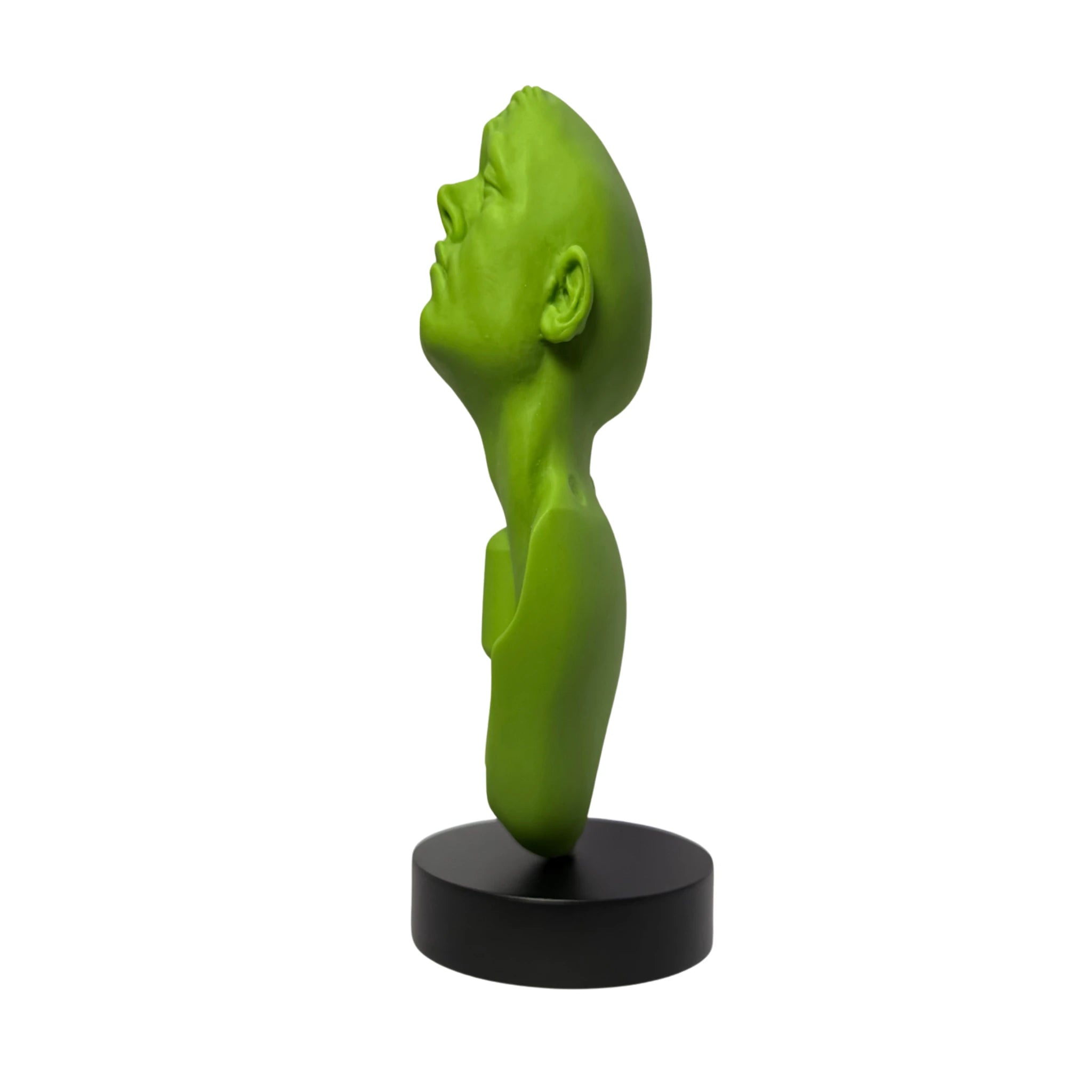 Orgullo | Precio Especial por Preventa